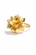 Anillo Tulipan